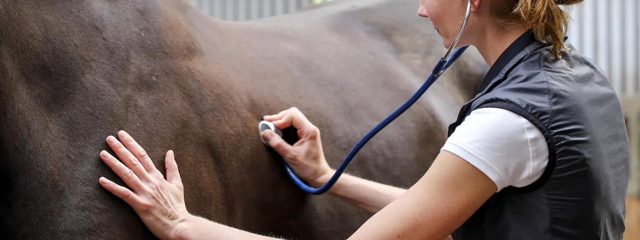 Practical Animal Breeding for Field Veterinarians â€” From Mating Plan to Calf Outcome